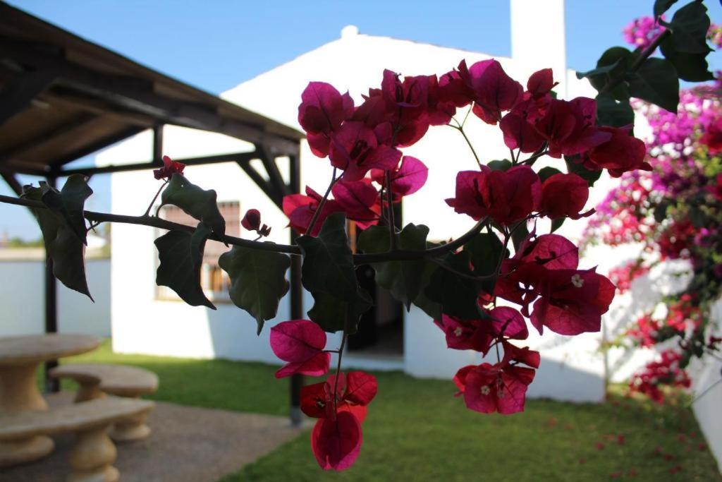 Hacienda Los Majadales Conil De La Frontera Exteriér fotografie